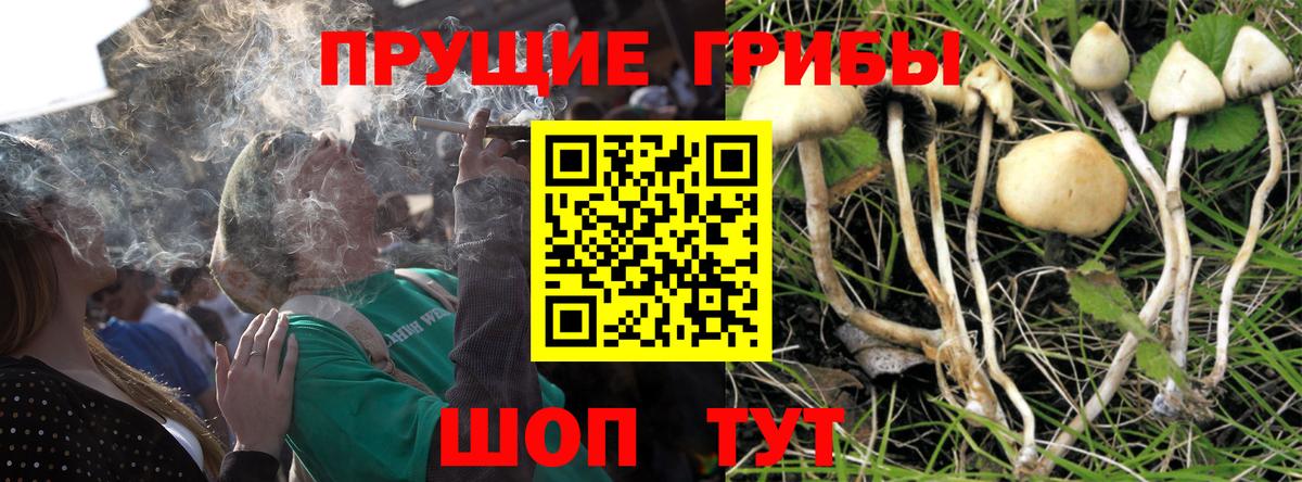 Грязи  Галлюциногенные грибы Psilocybe  цена наркотик  Вход с VPN 