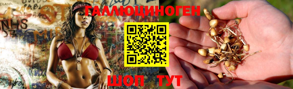 Галлюциногенные грибы GOLDEN TEACHER Грязи